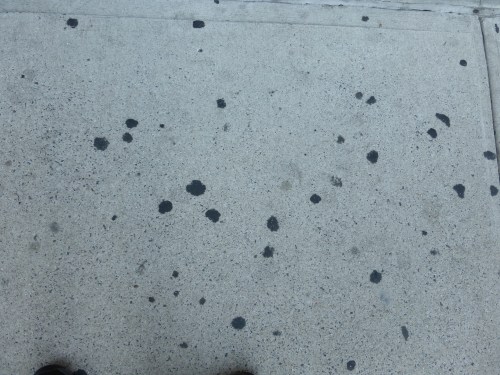spots nyc.jpeg